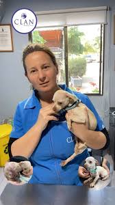 Clinica Veterinaria Doctora Muller