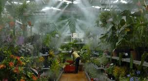 We did not find results for: Greenhouse Misting System Greenhouse Gardening Tips