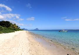 This citation guide outlines the most important. Perioada Optima Cand Trebuie Sa Ti Planifici Concediul Vremea