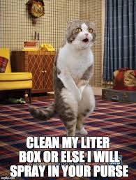 For most updates and latest information about funny animal pictures with captions clean pics, please kindly follow us too, or you can book mark this page on book mark section. Funny Animal Pictures Home Facebook