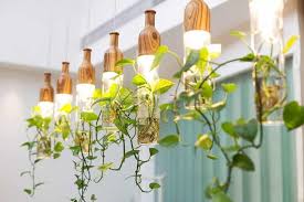 Maybe you would like to learn more about one of these? Can Plants Use Artificial Light For Photosynthesis Garden For Indoor