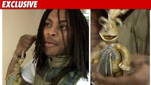 Waka Flocka Flame -- Check Out My $100,000 Muppet