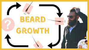 Facial hair experiences three growth phases. Beard Growth 101 The Secret Life Of Your Growing Beard Stubble Stache