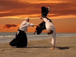 Aikido is now practiced in around 140 countries. Synnecta Vuca Aikido Six Stances For New Sovereignty In Business Handling Vuca V