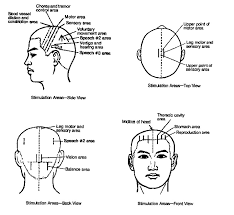 73 Inquisitive Acupuncture Diagrams