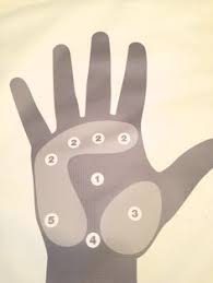 12 Best Melt Method Images Melt Method Hand Reflexology