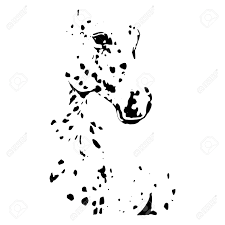 Grafisches Bild Eines Reinrassigen Pferd Auf Einem Weissen Hintergrund Pferd Schwarz Und Weiss Spotted Anzug Zeichnen Eines Pferdekopf Vektor Lizenzfrei Nutzbare Vektorgrafiken Clip Arts Illustrationen Image 70914576