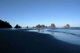 Shi Shi Beach Washington Times Of India Travel