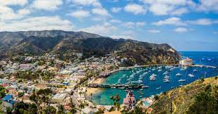 Catalina Casino Christmas 2021 Photos 248 Catalina Casino Stock Photos Pictures Royalty Free Images Istock