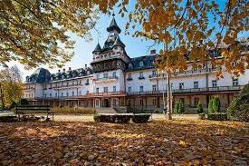 +40 250 75 02 80. Hotel Central Calimanesti Caciulata
