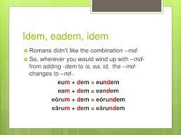 Ppt Latin Grammar Powerpoint Presentation Free Download