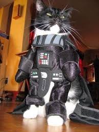 Luke I M Your Cat Pet Halloween Costumes Darth Vader Cat Cat Halloween Costume