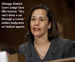 Court blocks judge's order for cbp official