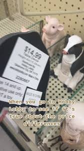 ✨MamaErica✨ (@mamaericaaaa)’s video of hobby lobby price tag