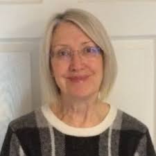 Devon County Council local election: The 7 candidates in Bideford East