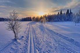 Winter sun snow nature landscape 2,461 free images of winter sun. 20 Mesmerizing Winter Wonderland Photos Of Finland