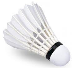 Auch zwei grillzonen sind dort. Preissturz 12 Stuck Badminton Federball Mit Echten Federn Natur Federballe Gutes Gunstiger