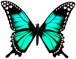 Maybe you would like to learn more about one of these? Free Butterfly Transparent Clipart Pictures Clipartix