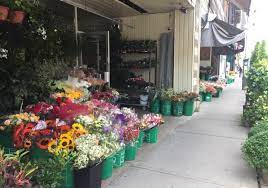 Currently it is anchored by dillard's and jcpenney and it is the only indoor shopping mall within greensboro's city limits; The Florists Of Avenue Road Toronto Floral Frenzy