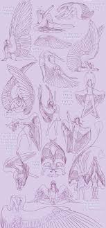 Angel Drawing Reference And Sketches For Artists We chose 5 different websites with really good references. angel drawing reference and sketches