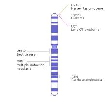 Chromosome Map Genes And Disease Ncbi Bookshelf