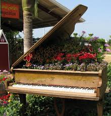 In this article, i'll break down how to get rid of a piano in 8 simple ways. Pin On Garden Inspiration