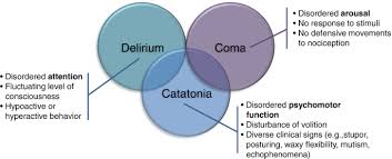 Image result for Echophenomena