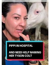 Nicole Jones Pearsall