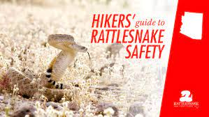 What to do if you see a rattlesnake while hiking. Arizona Hikers Guide To Rattlesnake Safety Rattlesnake Solutions