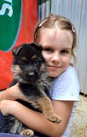 GatorlandK9 International