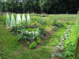 We would like to show you a description here but the site won't allow us. Permaculture Potager Les Etapes De Creation En Image