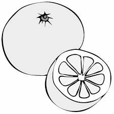 Let children be enlightened on the significance of the historic event by completing this free and unique set of coloring pages. Coloring Pages Coloring Pages Grapefruit Printable For Kids Adults Free To Download