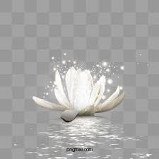 Vector Watercolor Lotus In 2020 Hd Flowers Lotus Flower Logo Watercolor Lotus