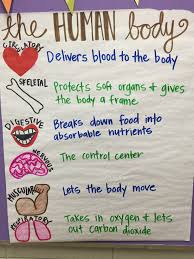 5th Grade Science Body Systems Anchor Chart Human Body