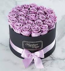 Maybe you would like to learn more about one of these? Magnificent Roses Preserved Lavender Roses Lavender Roses Preserved Roses Luxury Flowers