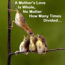 Mothers Love Quotes. QuotesGram via Relatably.com