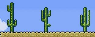 I'm a beginner, i just got terraria on xbox 360 and i've heard that i can craft cactus armor but have no idea how to do it. Cactus Terraria Wiki Fandom