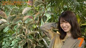 pin on 長濱ねる neru nagahama
