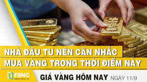 Gia Vang Hom Nay 11 9 2020 Nha đầu Tư Nen Can Nhắc Mua Vang Trong Thời điểm Nay Fbnc Youtube