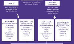 Symptoms of seizures include lip smacking behavior, staring spells. Seizure Types Epilepsy Society