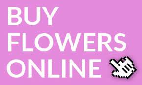 With canberra blooms, you can quickly say i love you, thank you or i'm thinking of you through their selection of beautiful, modern bouquets. Canberra Tesselaar Flowers