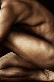 The part of the male reproductive tract where the vas deferens joins with the seminal vesicle and passes through the prostate. Pin On The Male Body