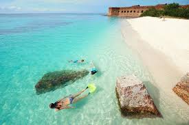 Apartment, house, cottage, flat, land, office, mobile home Key West Campground Rv Park Info Key West Camping