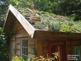 Basic Container Design Green Roof Green Roof Garden Roof Garden Rooftop Garden