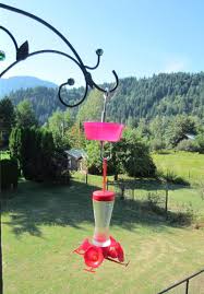 Even a few drips on the ground can alert ants to the sweet sugar and send them on a mission to find the source. Keeping Ants Out Of A Hummingbird Feeder Daily Birder