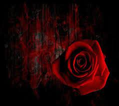 We did not find results for: Flowers By Tammy Promo Code 2021 At En Ourspace Bisley Com