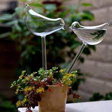 Plant Glass Self Watering Globes In 2021 Self Watering Plants Watering Bulbs Plants