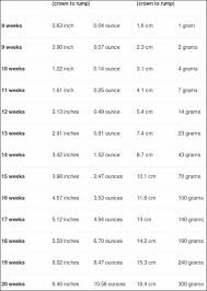 Fetal Weight Chart Indianboygirlgrowthchartsuperbaby Indian