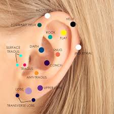 Which Cartilage Piercing Should I Get In 2021 Ear Piercings Cool Ear Piercings Ear Piercings Chart