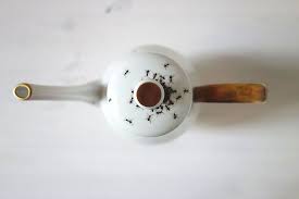 Elegant Porcelain Crawling With Creepy Hand Painted Ants By Evelyn Bracklow Porcelain Hand Painted Vintage Porcelain